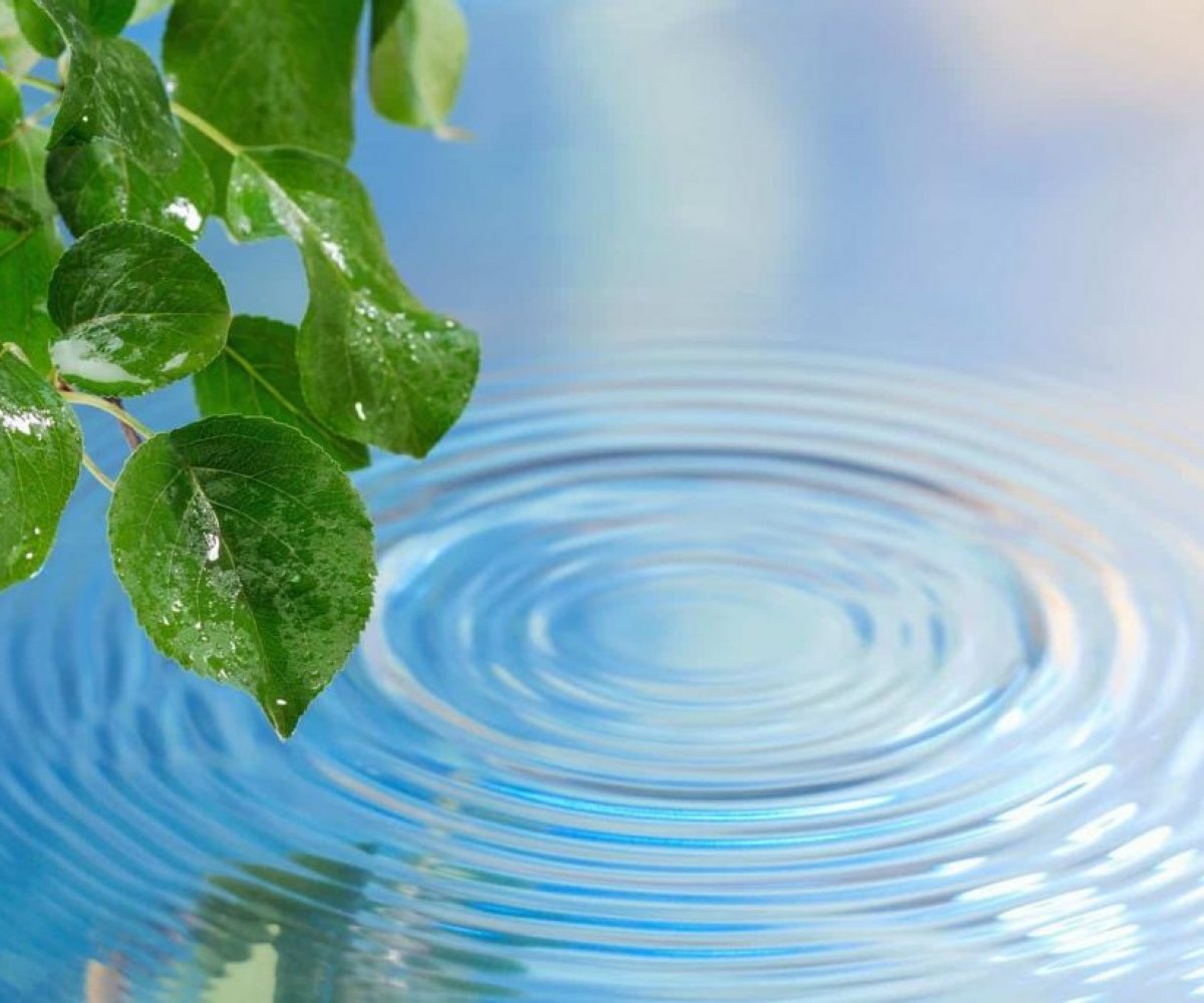 v3-infinity-homeopathische-geneesmiddelen-klassieke-homeopathie-nilufer-okur v3-infinity-homeopathische-geneesmiddelen-klassieke-homeopathie-nilufer-okur